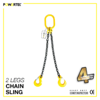 Jual 2 Legs Chain Sling rantai sling 2 kaki