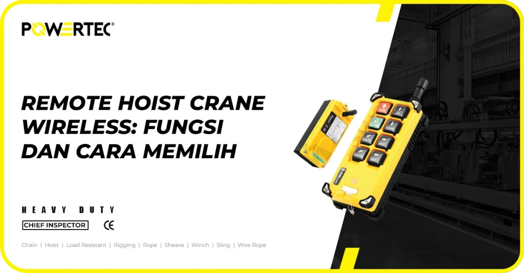 remote hoist crane